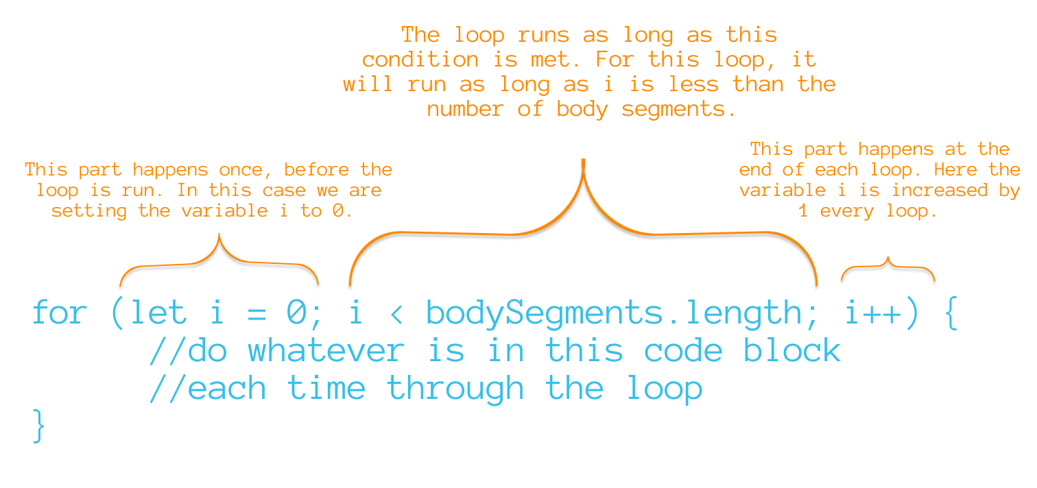 parts of a for loop